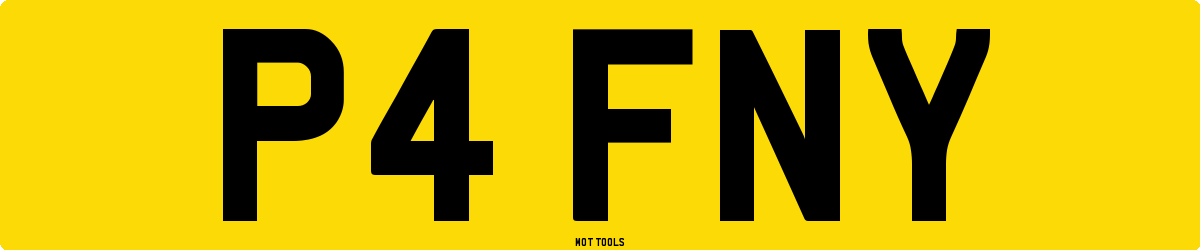 P4FNY MOT Check