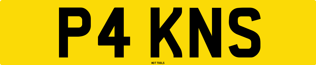 P4KNS MOT Check