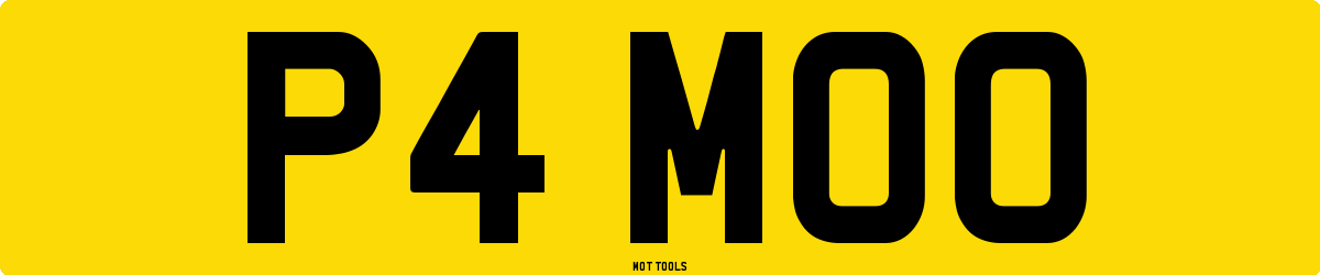 P4MOO MOT Check