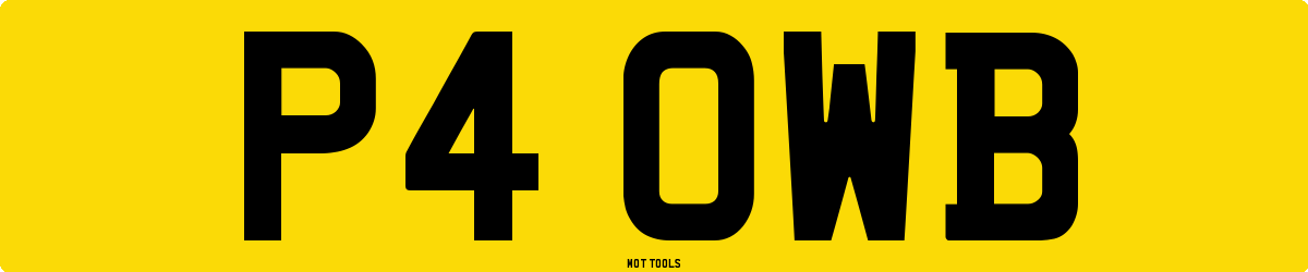 P4OWB MOT Check
