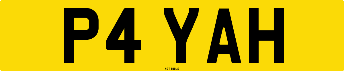 P4YAH MOT Check