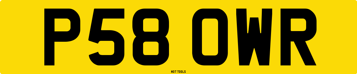 P58OWR MOT Check