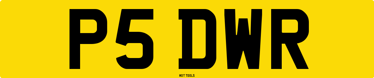 P5DWR MOT Check