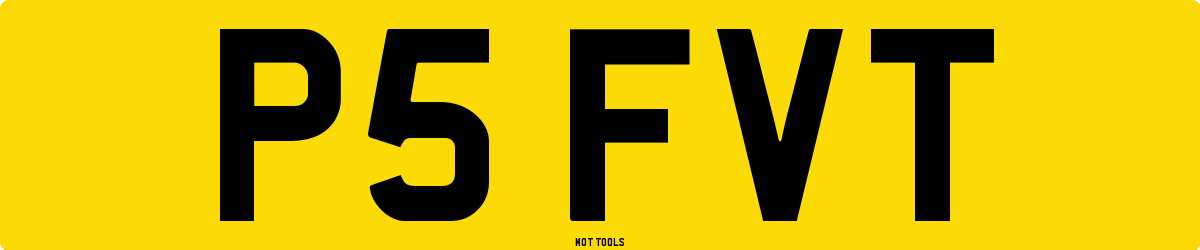 P5FVT MOT Check