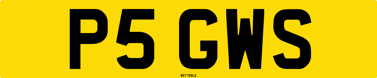 P5GWS MOT Check