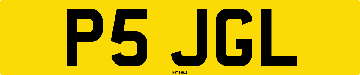P5JGL MOT Check