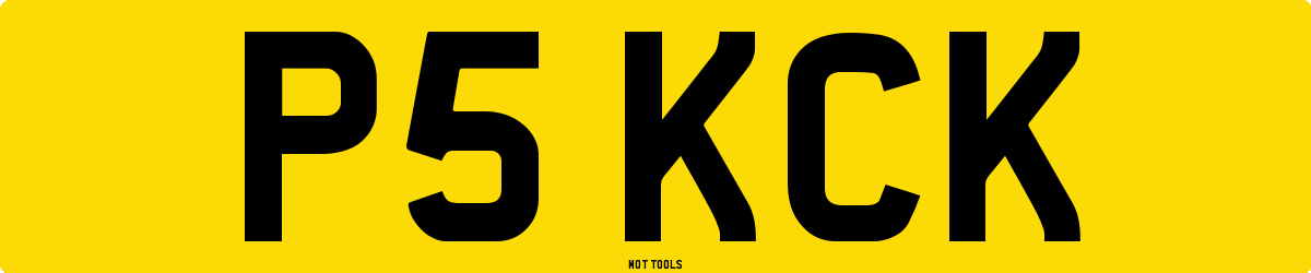 P5KCK MOT Check