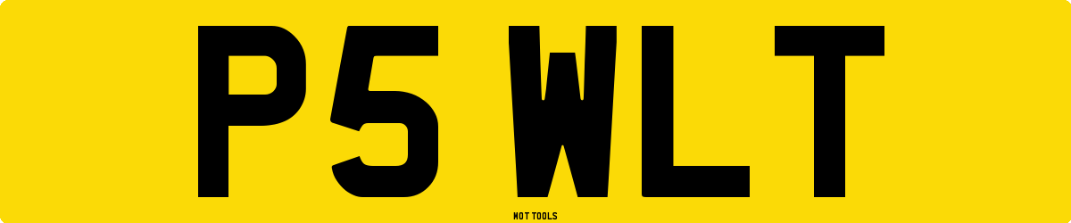 P5WLT MOT Check