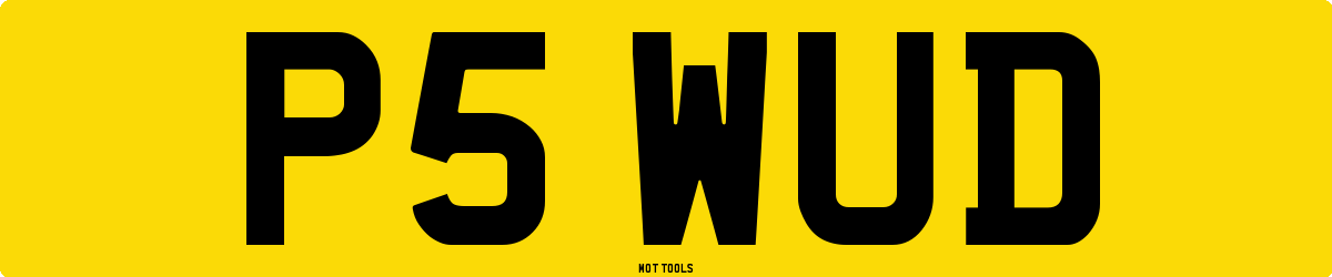 P5WUD MOT Check