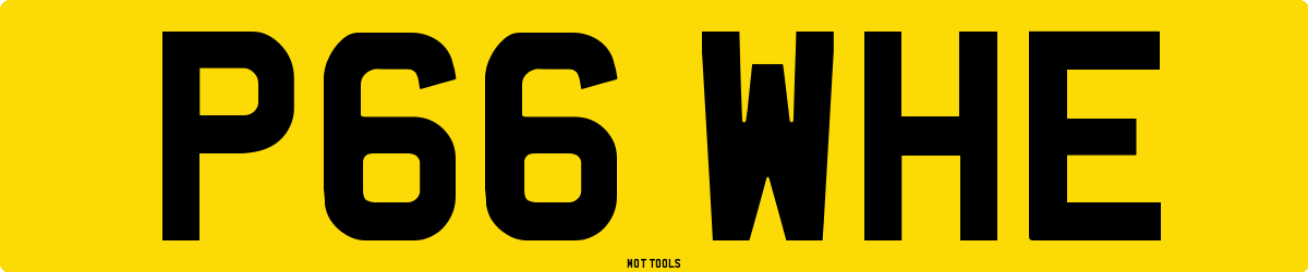 P66WHE MOT Check