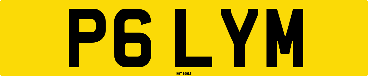 P6LYM MOT Check
