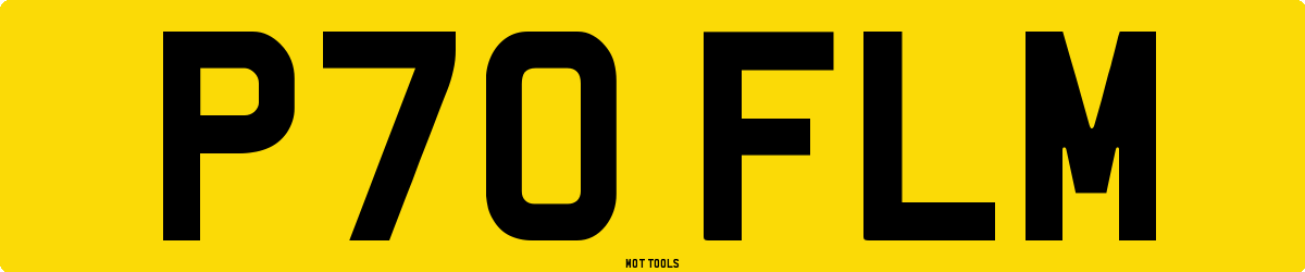 P70FLM MOT Check