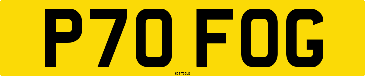 P70FOG MOT Check