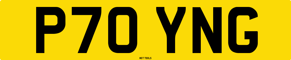 P70YNG MOT Check