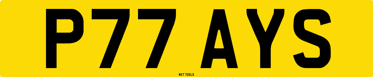 P77AYS MOT Check