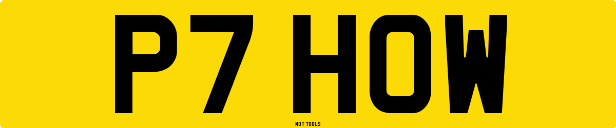 P7HOW MOT Check
