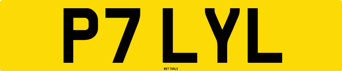 P7LYL MOT Check