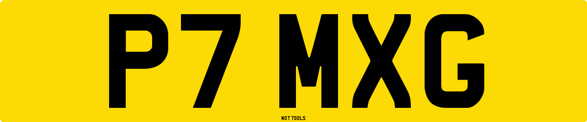 P7MXG MOT Check