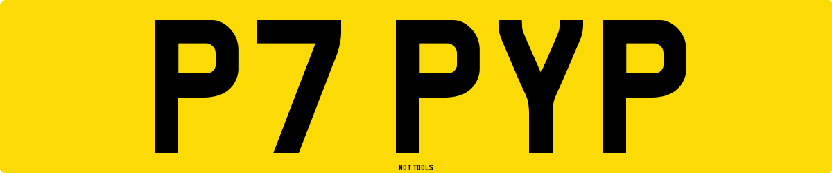 P7PYP MOT Check