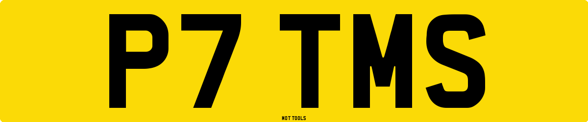 P7TMS MOT Check