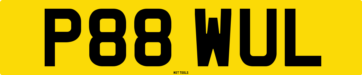 P88WUL MOT Check