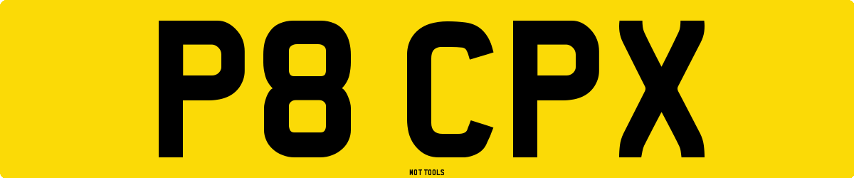 P8CPX MOT Check