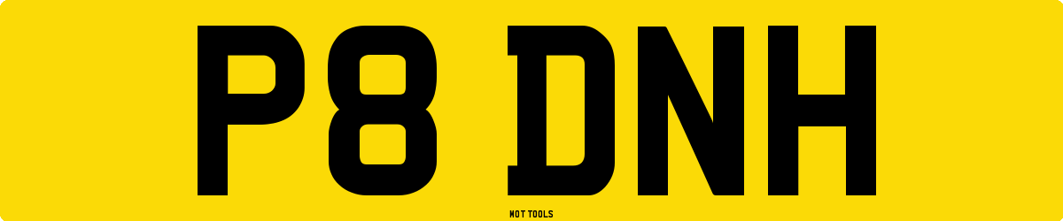 P8DNH MOT Check