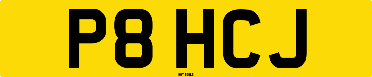P8HCJ MOT Check