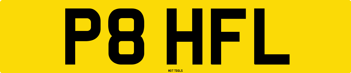 P8HFL MOT Check