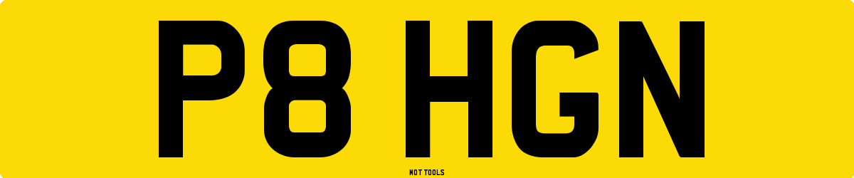 P8HGN MOT Check