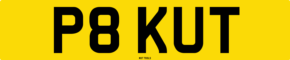 P8KUT MOT Check