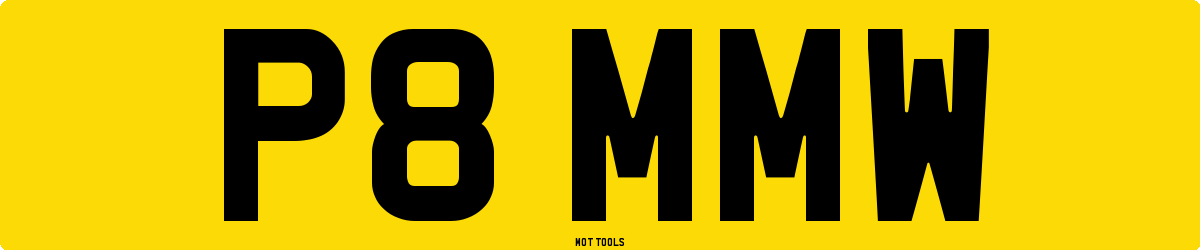 P8MMW MOT Check