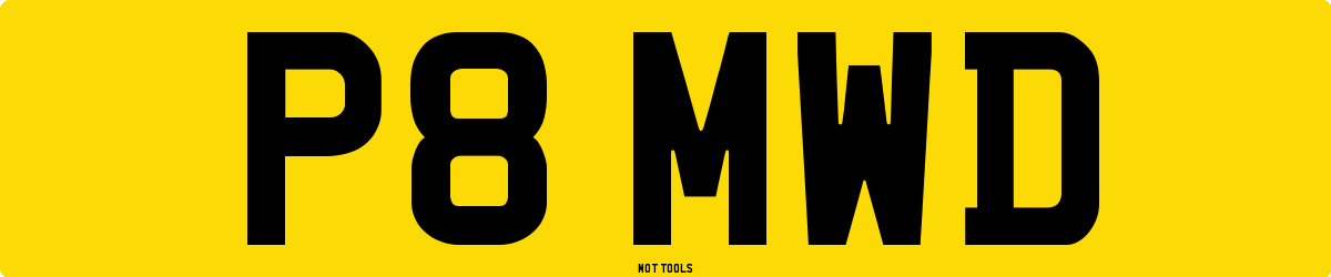 P8MWD MOT Check