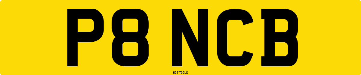 P8NCB MOT Check