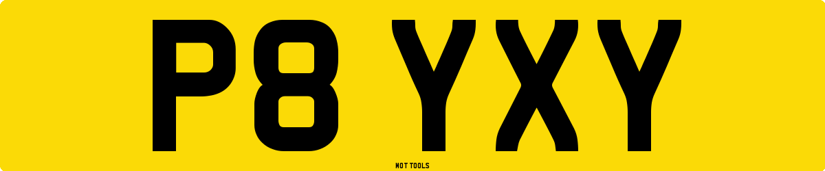 P8YXY MOT Check