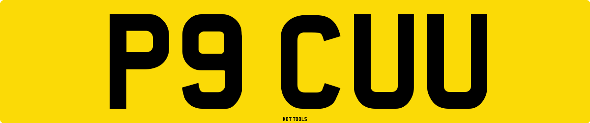 P9CUU MOT Check