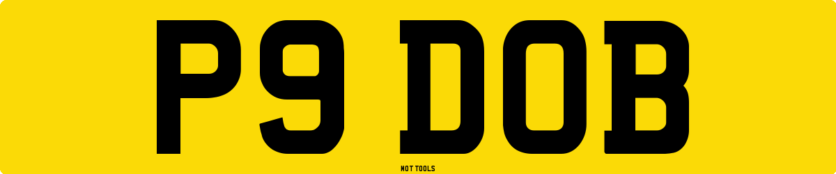 P9DOB MOT Check