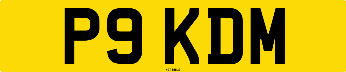 P9KDM MOT Check
