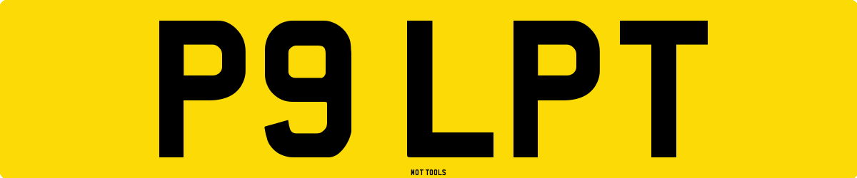 P9LPT MOT Check