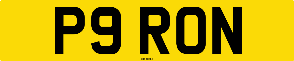 P9RON MOT Check
