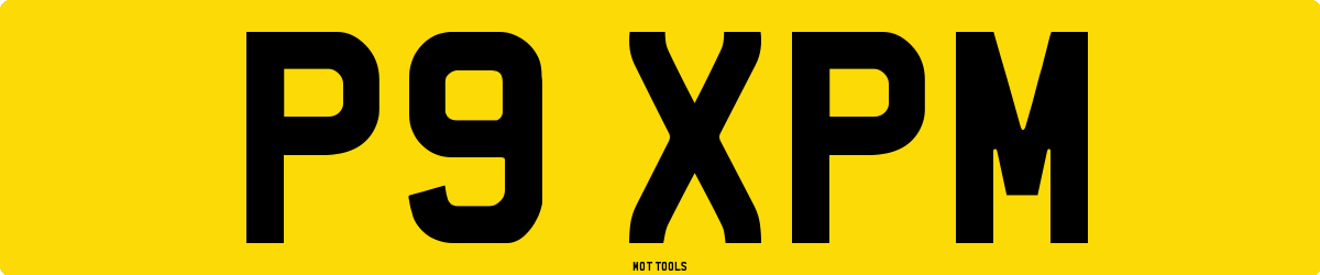 P9XPM MOT Check