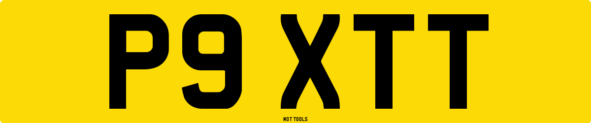 P9XTT MOT Check