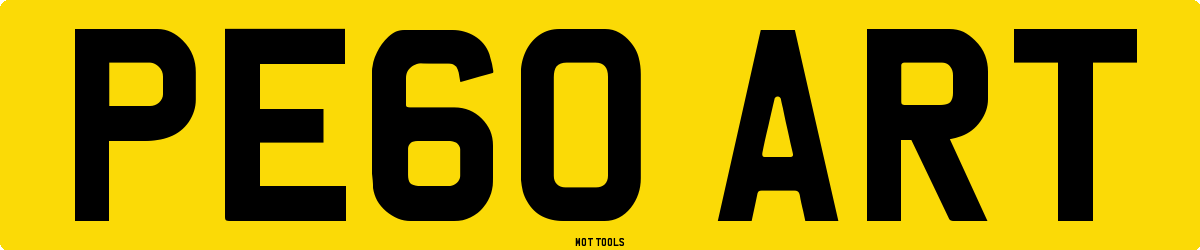 PE60ART MOT Check