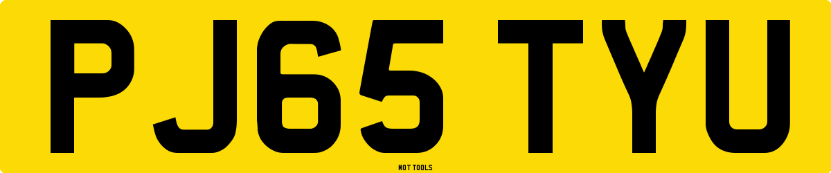 PJ65TYU MOT Check