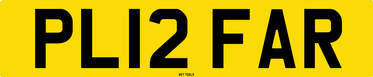 PL12FAR MOT Check