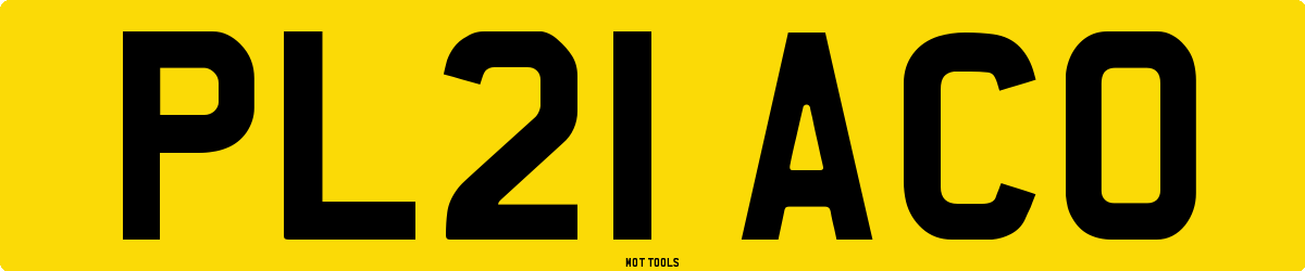 PL21ACO MOT Check