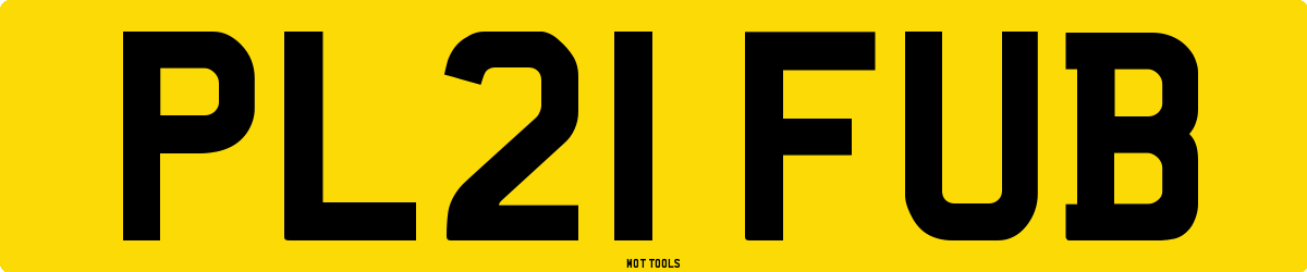 PL21FUB MOT Check