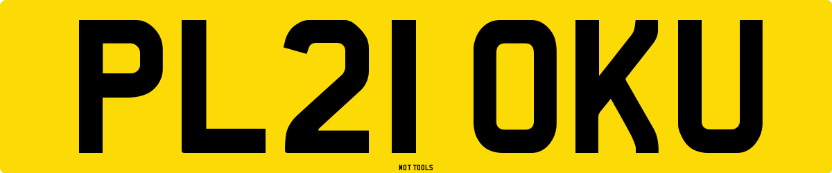 PL21OKU MOT Check