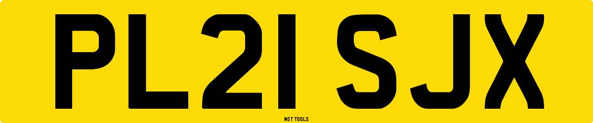 PL21SJX MOT Check