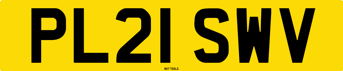 PL21SWV MOT Check